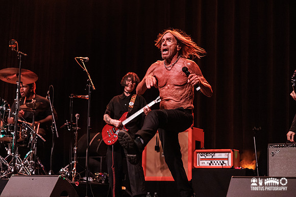 Iggy Pop in concert