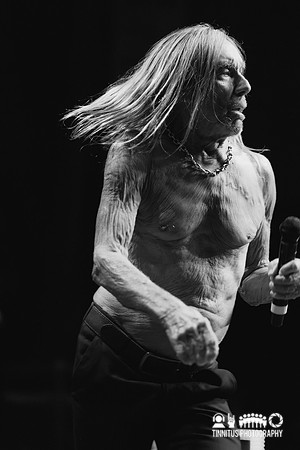 Iggy Pop in concert