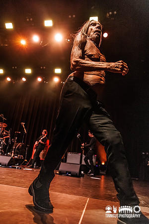 Iggy Pop in concert