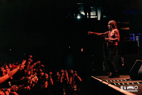 Iggy Pop in concert