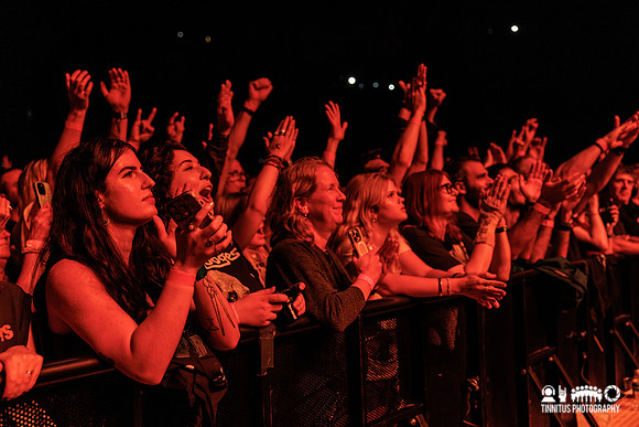 Iggy Pop in concert