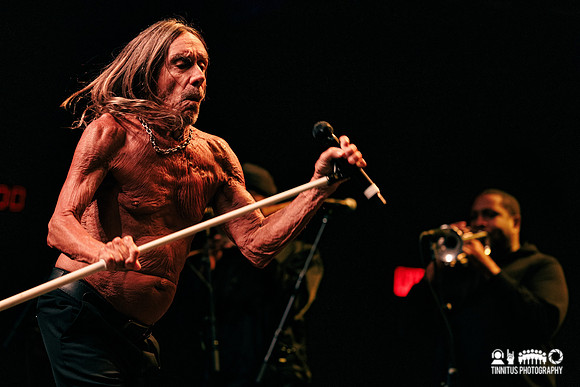 Iggy Pop in concert