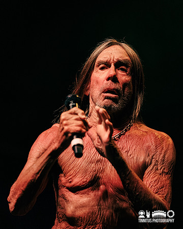 Iggy Pop in concert