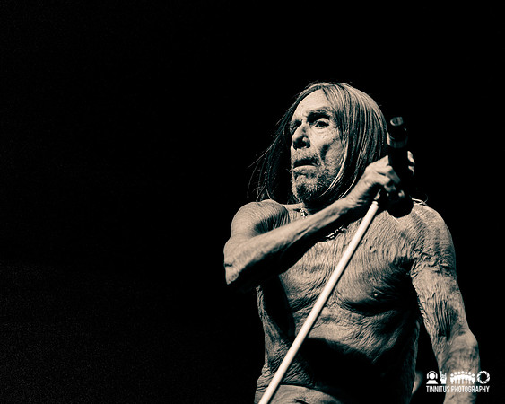 Iggy Pop in concert