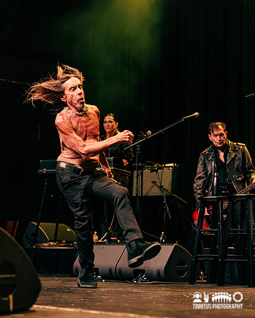 Iggy Pop in concert