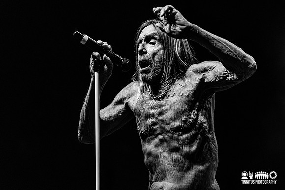 Iggy Pop in concert