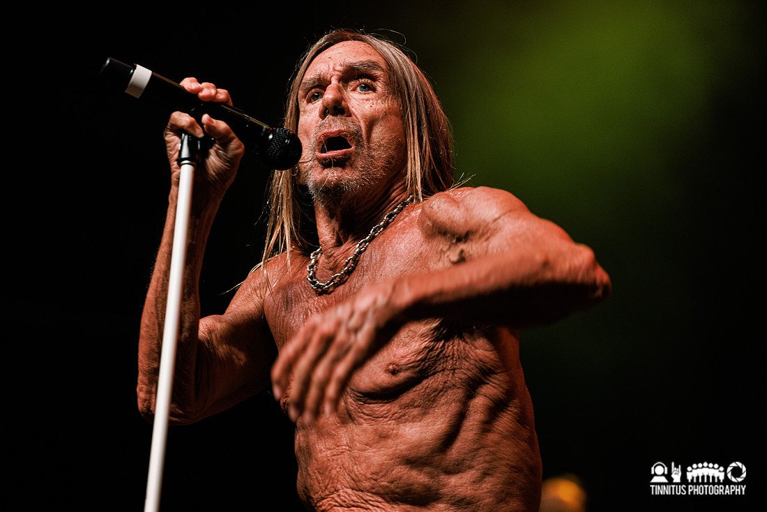 Iggy Pop in concert