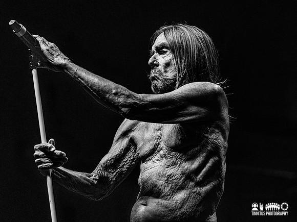 Iggy Pop in concert