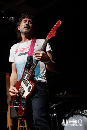 Tropical Fuck Storm in concert