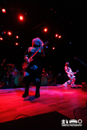 Melvins in concert