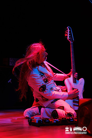 Melvins in concert