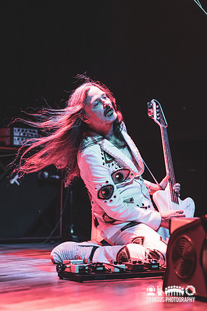 Melvins in concert