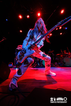 Melvins in concert
