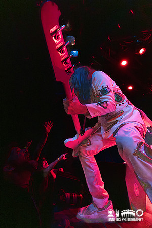 Melvins in concert