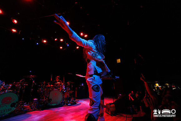 Melvins in concert