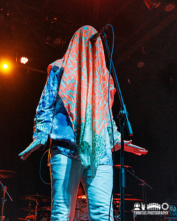Redd Kross in concert