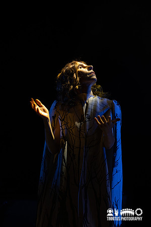 PJ Harvey in concert