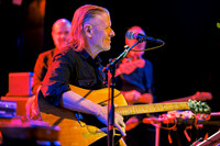 Swans in concert