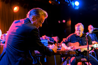 Swans in concert