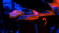 Swans in concert
