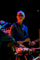 Swans in concert