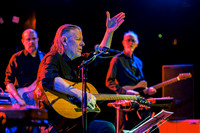 Swans in concert