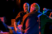 Swans in concert