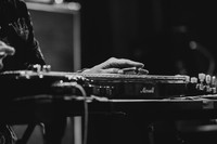 Swans in concert