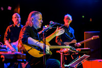 Swans in concert