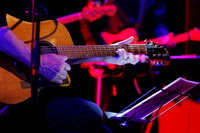 Swans in concert