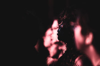 Swans in concert
