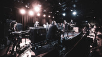 Swans in concert