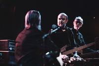 Swans in concert