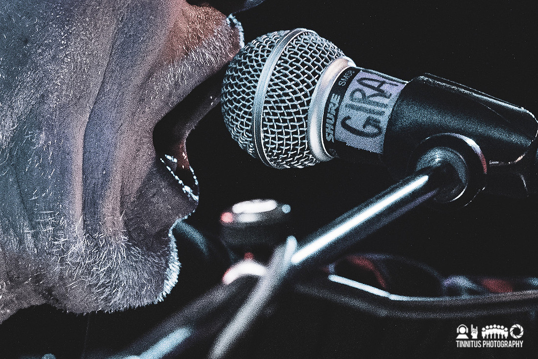 Swans in concert