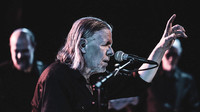 Swans in concert