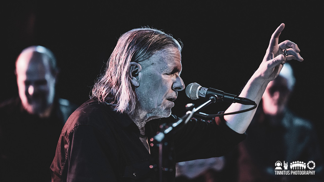Swans in concert