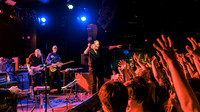 Swans in concert