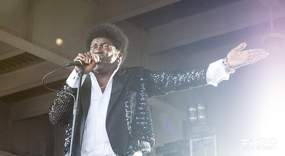 Charles Bradley in concert at All Tomorrow's Parties