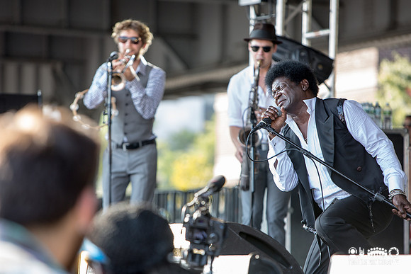 Charles Bradley in concert at All Tomorrow's Parties
