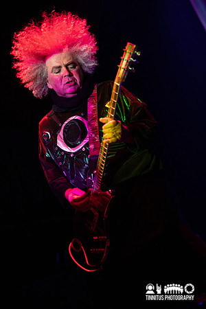 Melvins in concert