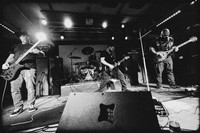 Insomniac in concert