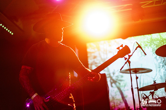 Insomniac in concert