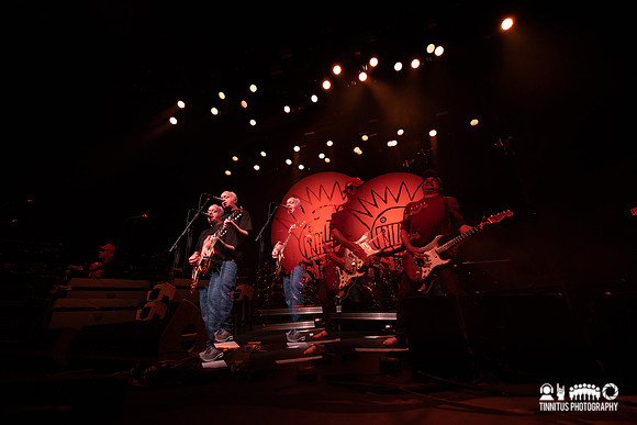 Ween in concert
