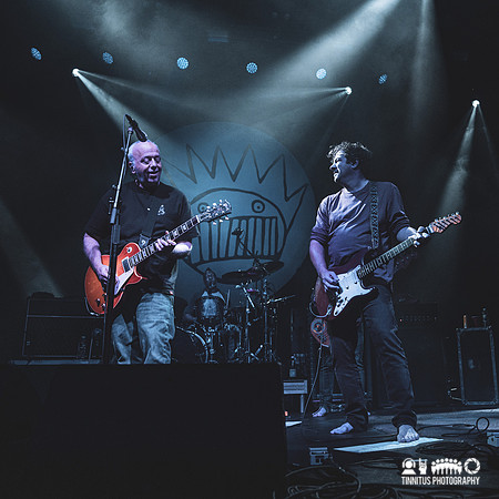 Ween in concert