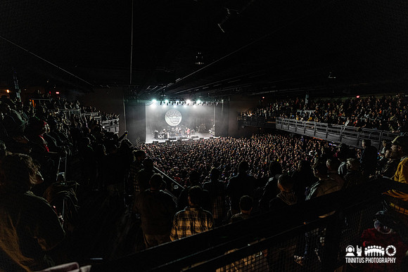Ween in concert