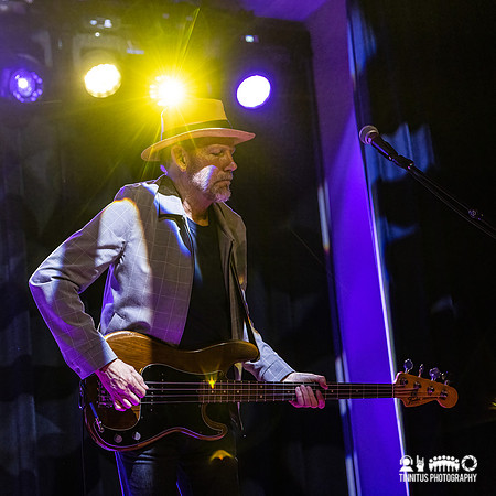 The Dream Syndicate in concert