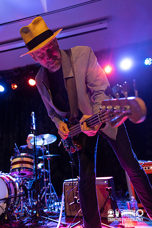 The Dream Syndicate in concert