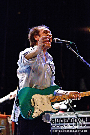 Ray Davies in concert