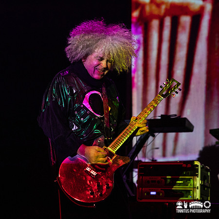 Melvins in concert