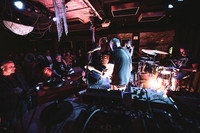 Minibeast in concert